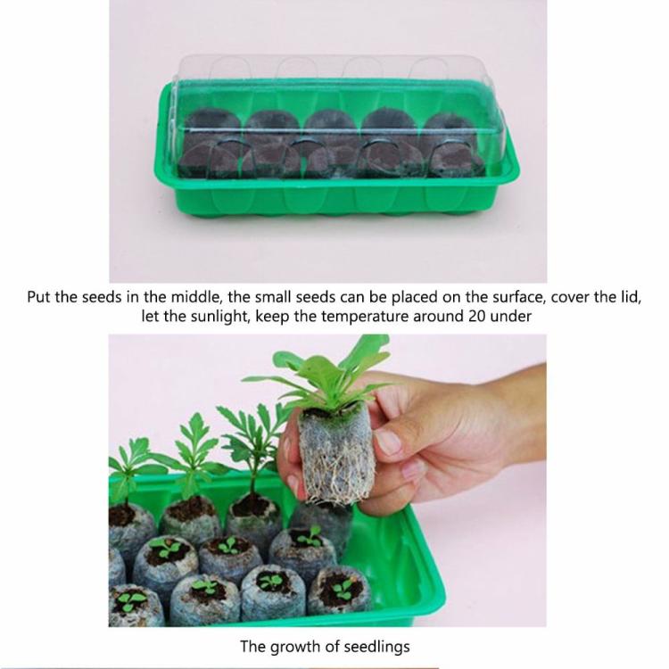 Planting & Protective Gears | 100pcs 30mm Compressed Peat Soil Pellets Soil Block Maker Seeds Starting Garden Tools Planting & Protective Gears