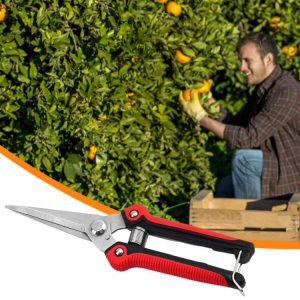 Power & Hand Tools | Garden Hand Pruning Shears Stainless Steel Orchard Fruit Picking Small Scissors Garden Tools Power & Hand Tools